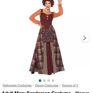 NWT Disney Hocus Pocus Mary Sanderson Costume - with Wig